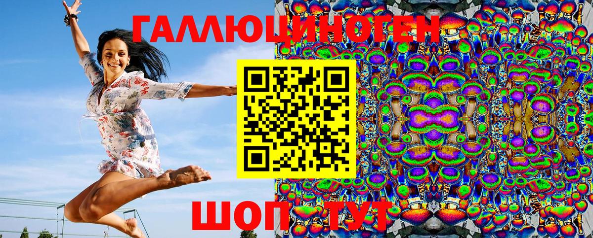 Псилоцибиновые грибы Psilocybine cubensis Еманжелинск